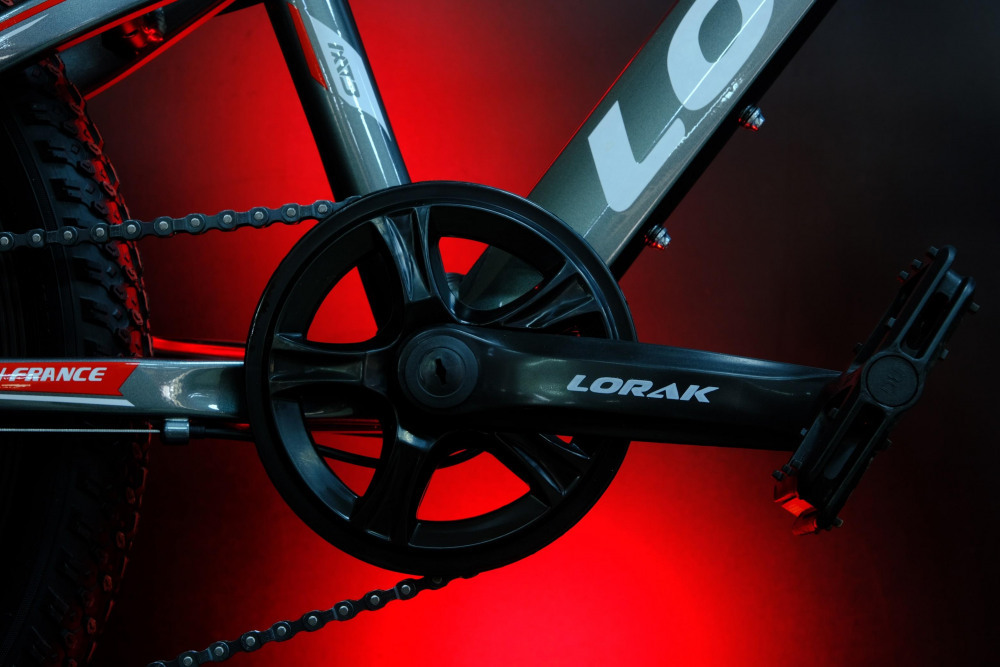 LORAK Safe 20 Серый/Красный