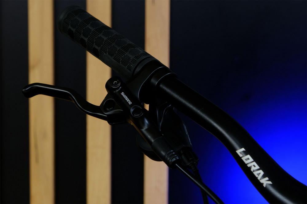 LORAK Sel 9350 Матовый Синий рама 19 (на рост 171-182)